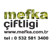 MEFKA
